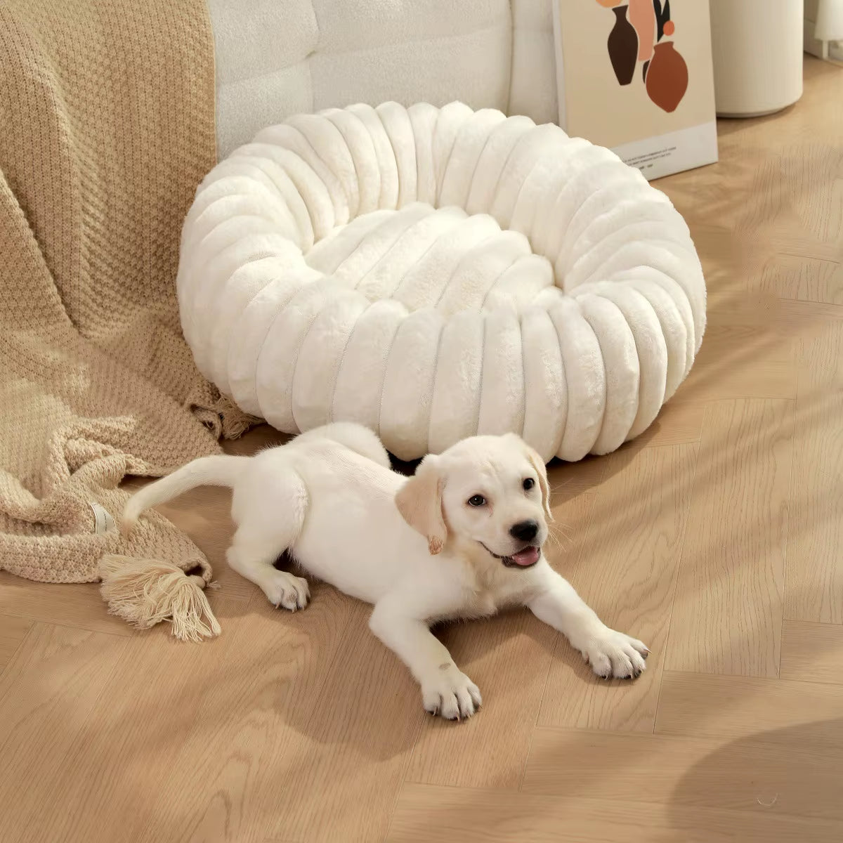 Round Pet Bed for Large Dog, Winter Warm Cat Sofa Bed Washable Large Dog Bed All Seasons Available