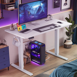 Electric 63X24 Inch Standing Office Computer Desk Ergonomic Height Adjustable Gaming Table for Home Office Use Workstation