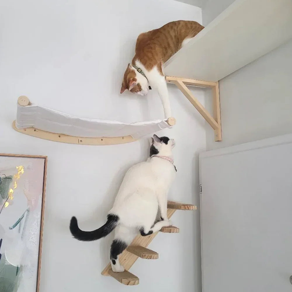 Cat Wall Shelves Climbing Systems Large Cat Furniture Shelf Set Wall Hanging Mounted Hammock Sisal Scratching Perch Bed Ladder