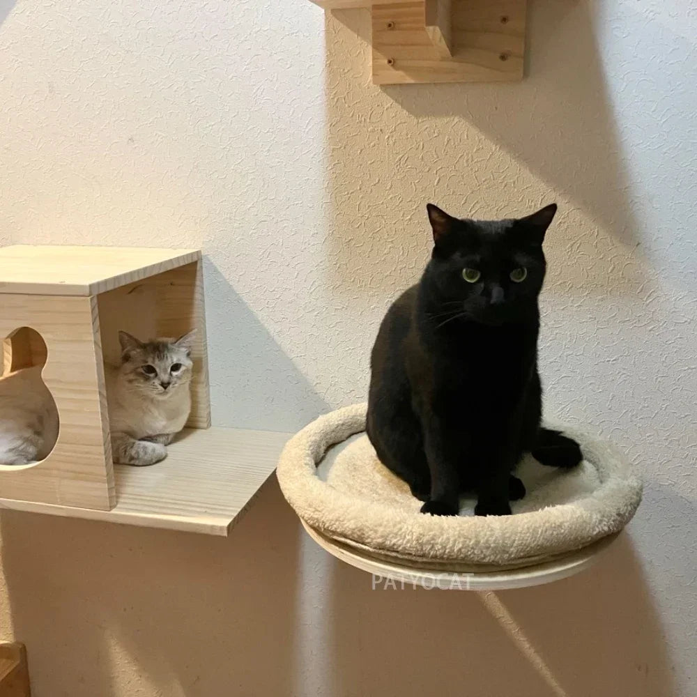 Cat Wall Shelves Climbing Systems Large Cat Furniture Shelf Set Wall Hanging Mounted Hammock Sisal Scratching Perch Bed Ladder