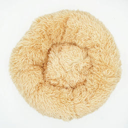 Beige Yellow