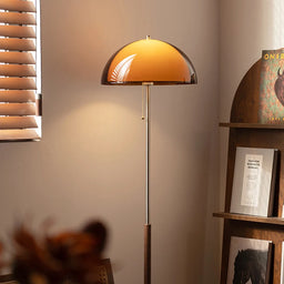 French Antique Dark Brown Acrylic Floor Lamp