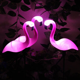Outdoor Solar Flamingo Garden Stake Lights