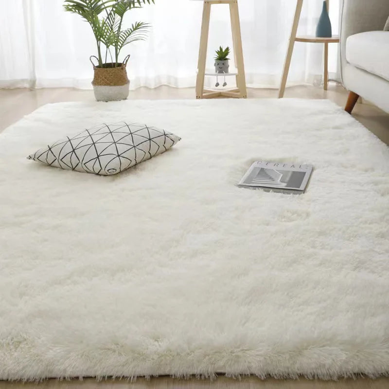 Area Plush Shaggy Rug