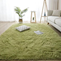 Area Plush Shaggy Rug