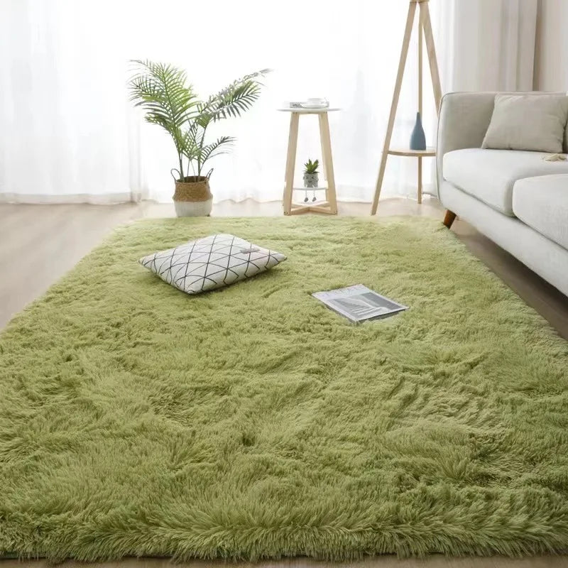 Area Plush Shaggy Rug