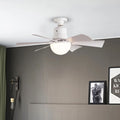 Ceiling Fan Light mounted in room