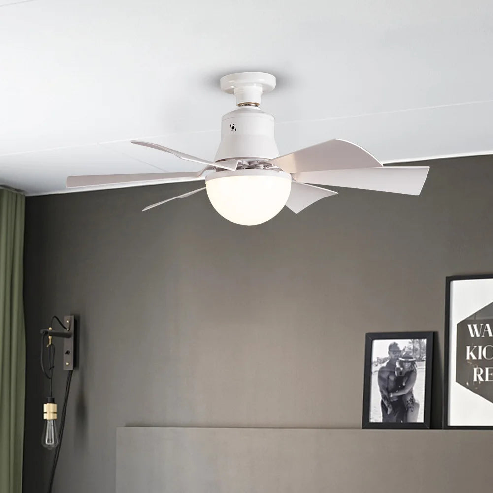 Ceiling Fan Light mounted in room