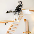 1Pccat Scratching Climbing Post Wall-Mounted Cat Hammock Bed Pet Furniture Kitten Wall Shelf Set Cat Perch Wooden Cat Tree House