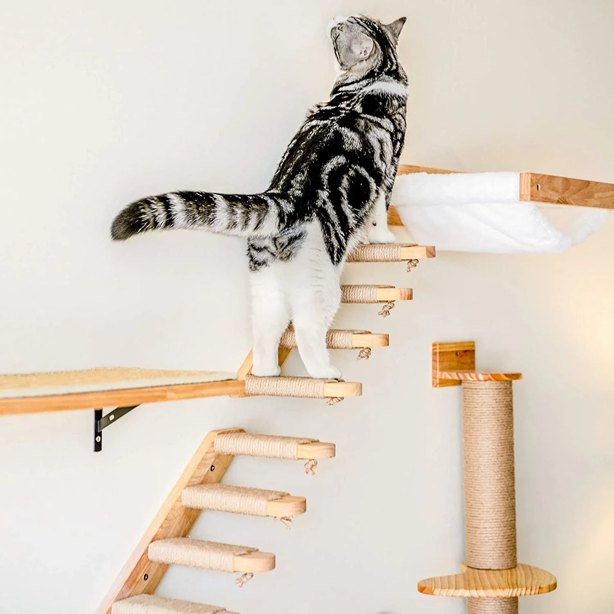 1Pccat Scratching Climbing Post Wall-Mounted Cat Hammock Bed Pet Furniture Kitten Wall Shelf Set Cat Perch Wooden Cat Tree House