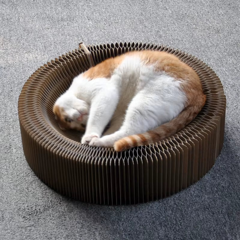 Pet Cat Scratcher Lounge Bed Collapsible Folding Corrugated Paper Deform Cat Scratch Board for Cat Bed Mat Kitten Toy Pet Supply