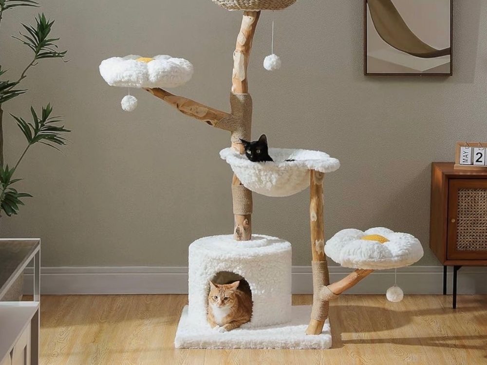 Cat Trees & Towers