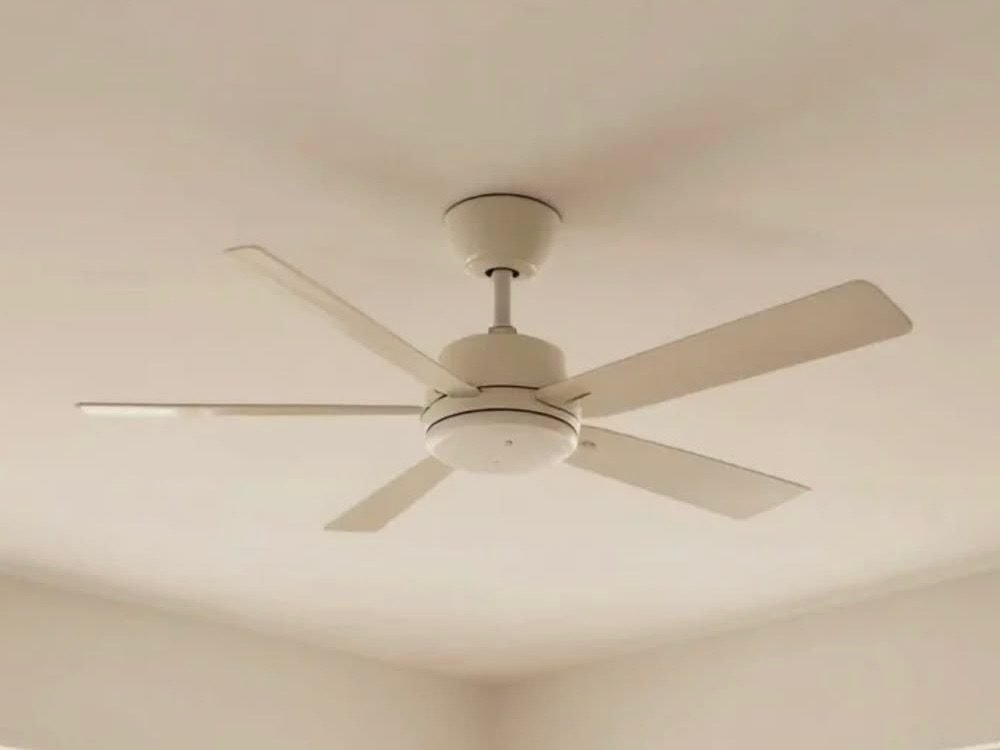 Ceiling Fan Lights